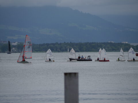 Opti und 29er beim Training. Ein Trainerboot bei den Optis